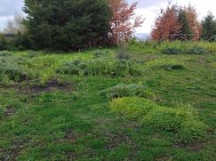 Terreno agricolo in Commerciale