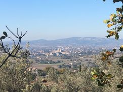 Terreno edificabile in Residenziale