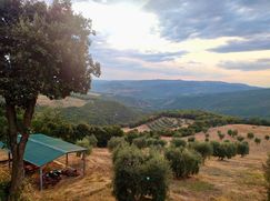 Rustico/Casale in Residenziale