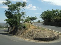 Terreno agricolo in Commerciale