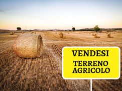 Terreno agricolo in Commerciale