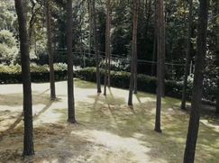 Terreno edificabile in Residenziale