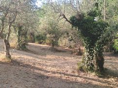 Terreno edificabile in Residenziale