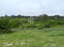 Terreno agricolo in Commerciale