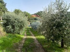 Terreno edificabile in Residenziale