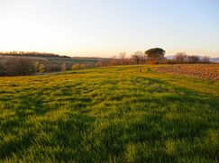 Terreno agricolo in Commerciale