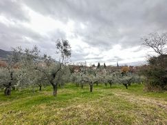 Terreno agricolo in Commerciale