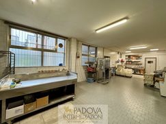 Negozio/Locale commerciale in Commerciale