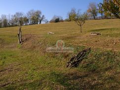 Terreno edificabile in Residenziale