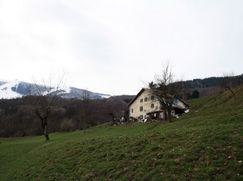 Rustico/Casale in Residenziale