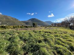 Terreno agricolo in Commerciale
