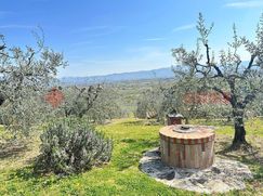 Terreno agricolo in Commerciale