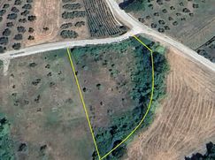 Terreno agricolo in Commerciale