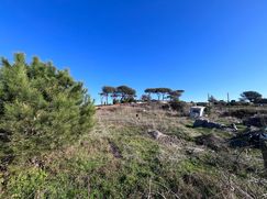 Terreno agricolo in Commerciale