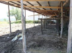 Terreno edificabile in Residenziale