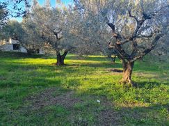 Rustico/Casale in Residenziale