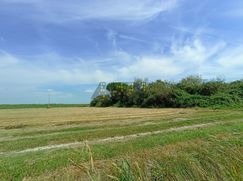 Terreno agricolo in Commerciale