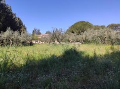 Terreno agricolo in Commerciale