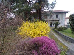 Casa indipendente in Residenziale