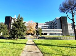 Ufficio in Commerciale