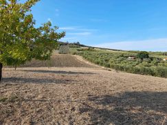 Terreno agricolo in Commerciale