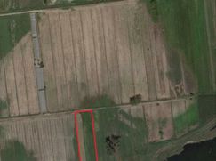 Terreno agricolo in Commerciale