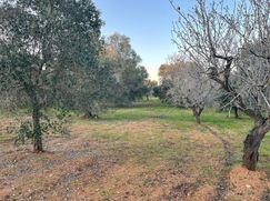 Terreno edificabile in Residenziale