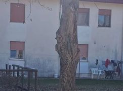 Villa in Residenziale