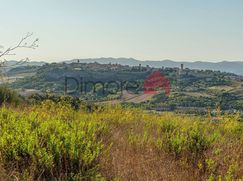 Terreno agricolo in Commerciale