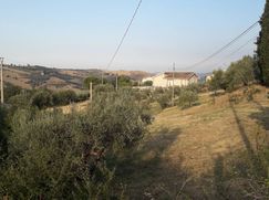 Terreno edificabile in Residenziale