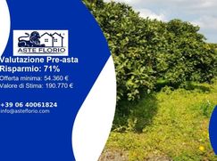 Terreno agricolo in Commerciale