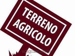 Terreno agricolo in Commerciale