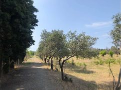 Terreno edificabile in Residenziale