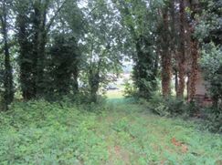 Terreno edificabile in Residenziale