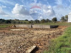 Terreno agricolo in Commerciale