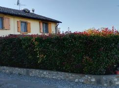 Rustico/Casale in Residenziale