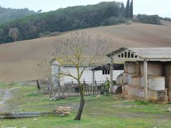 Rustico/Casale in Residenziale