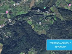 Terreno agricolo in Commerciale