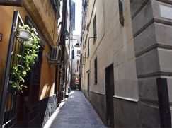 Negozio/Locale commerciale in Commerciale