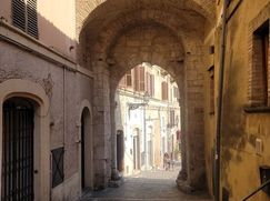 Negozio/Locale commerciale in Commerciale