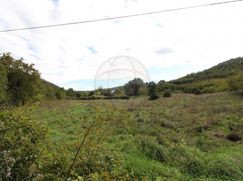 Terreno agricolo in Commerciale