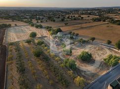Terreno agricolo in Commerciale