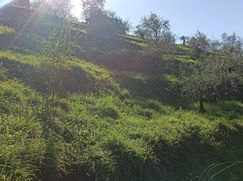 Terreno edificabile in Residenziale