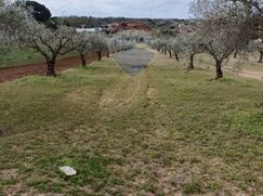 Terreno agricolo in Commerciale