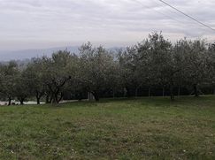 Terreno edificabile in Residenziale