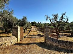 Rustico/Casale in Residenziale