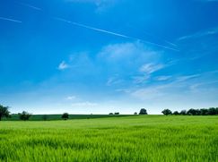 Terreno agricolo in Commerciale