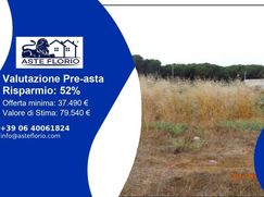 Terreno agricolo in Commerciale