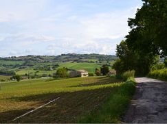 Rustico/Casale in Residenziale