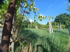 Terreno edificabile in Residenziale